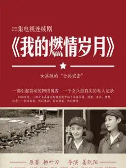 我的燃情岁月剧情介绍