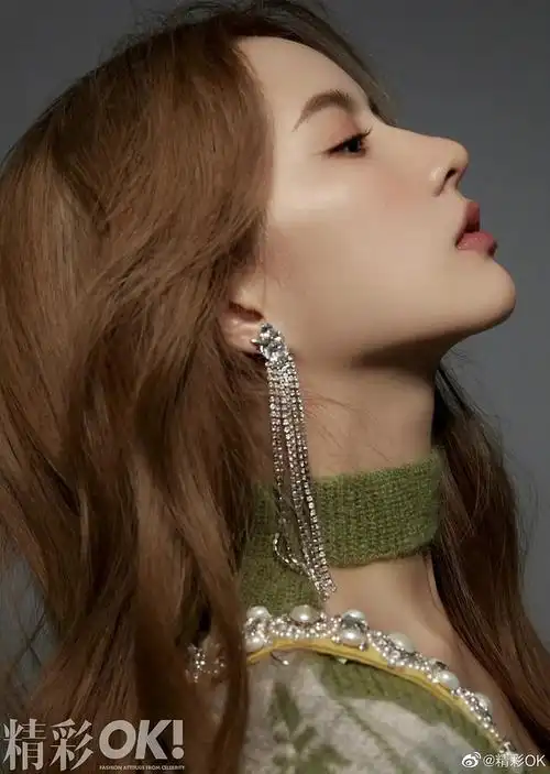 刘些宁侧脸也是永远滴神