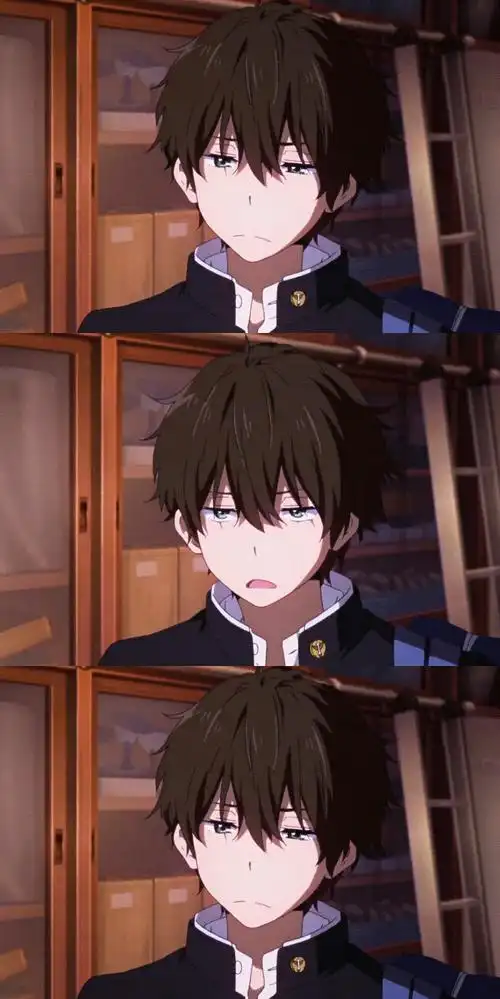 冰菓 图源微博 折木奉太郎