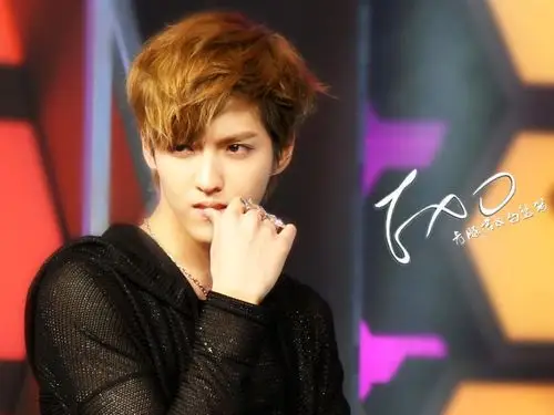 求exo-m kris 快乐大本营 图 发送到876020383@qq.com 谢谢