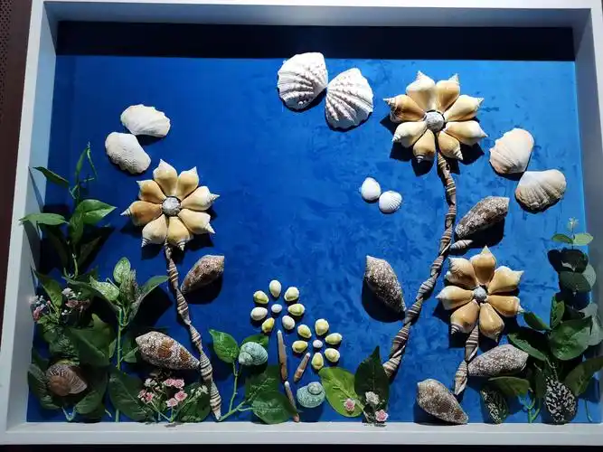 贝壳王国科普★博物馆