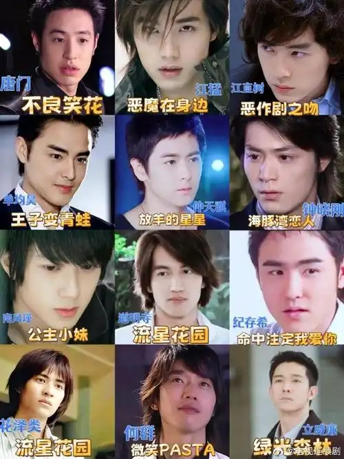 台湾偶像剧男主谁是你的白月光?