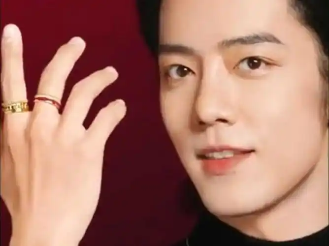 和宝诗龙全球品牌代言人肖战一起,点亮新年