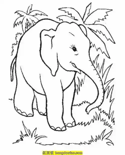 一年级简笔画,下载,专注力,二年级简笔画,免费,免费下载,动物园,动画