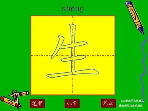 生-笔顺演示