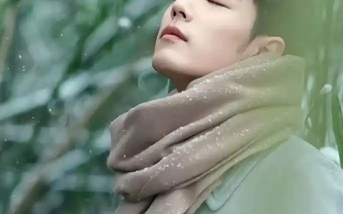 "今年冬天心软的神"#肖战 #肖战冬至竹林大片 #日常见肖战 #冬至已至