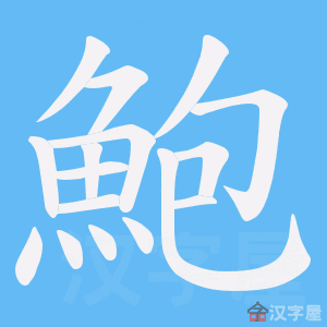 鲍字的笔顺笔画顺序