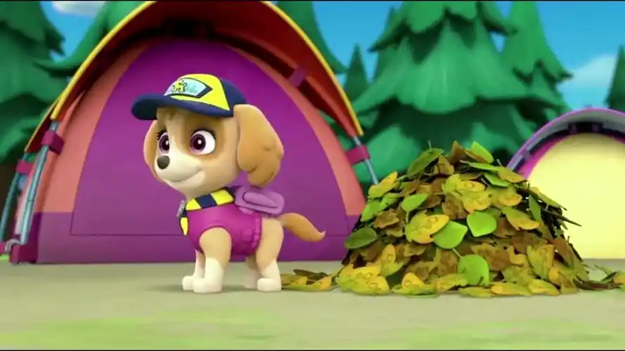 汪汪队立大功:谷微市长出去捡树枝的时候,咕咕鸡掉入深坑