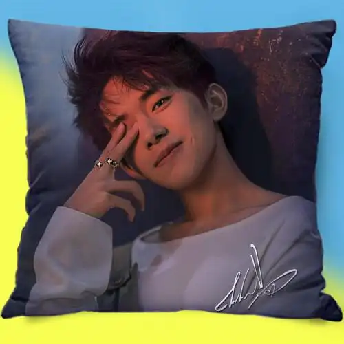 热销易烊千玺抱枕 生日礼物双面