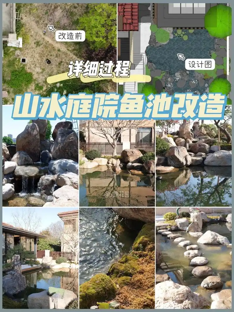鱼池改造全过程记录它的成长与蜕变