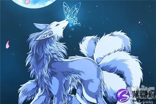 十二星座专属九尾狐