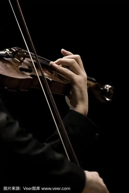 一个音乐家手中的小提琴特写