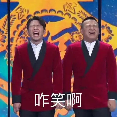 哈哈哈哈哈今年春晚还是挺多表情包的xswl