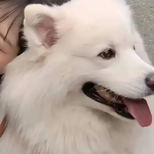 头像| 最近ins上很火的高质量头像