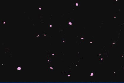 这个炫舞头像的ps透明特效谁有,给个.拜托拜托!一定要透明哦 .