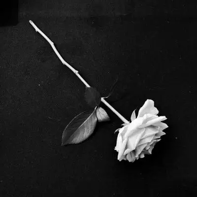 苏瓷黑色系高冷背景图