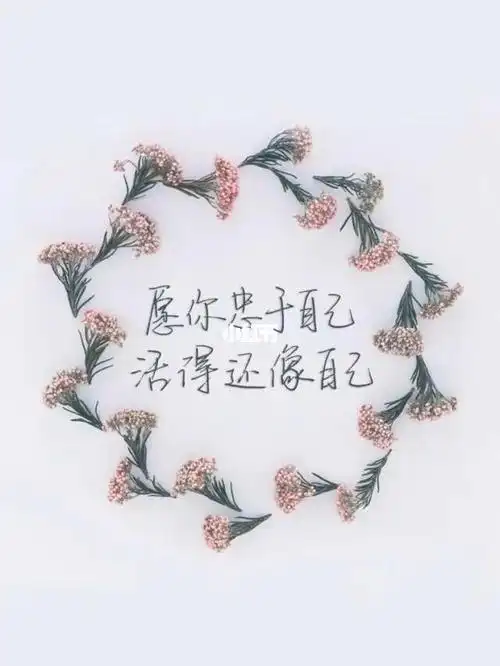 活的还像自己_文字摘录_素材_文字素材