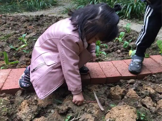 种豆子小朋友们