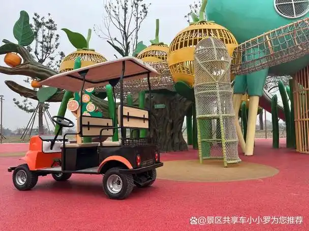 什么样的景区共享车适合促进景区发展呢景区共享智能代步车了解下