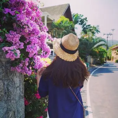 谱写我们的阳光