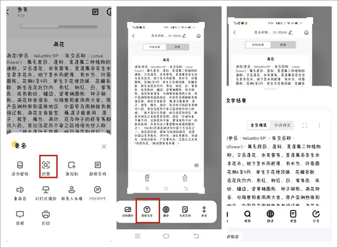 手机如何识别图片文字?分享手机识别文字的方法