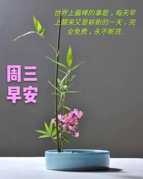 最新周三早上好暖心祝福语句,星期三很美的早安祝福图片表情