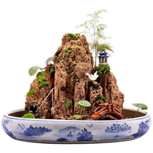 天然上水石吸水石小型假山石盆景石头鱼缸微景观原石造景装饰摆件