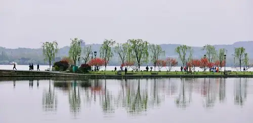 春天的杭州——花开时节动杭城,当时只道是寻常