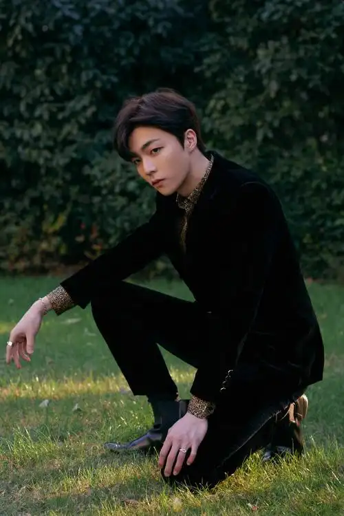 消息陈立农星光大赏红毯造型大片释出黑色西装搭配豹纹衬衫好野