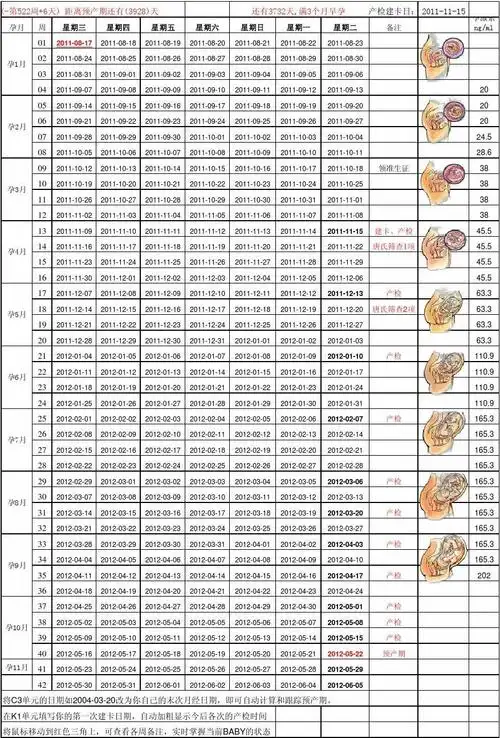 怀孕40周胎儿发育每周情况表-2010新版