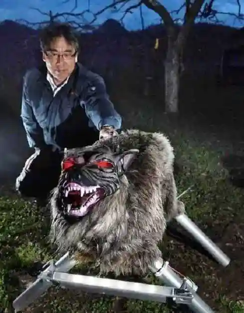 这匹"狼"虽然长得奇丑,但是绝不吃肉