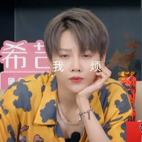 吧吃货团#我直接进行一个表情包的制作(图一:真·生气)@the9-刘雨昕