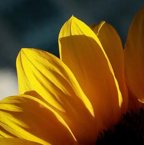 明明亮亮的快乐呀