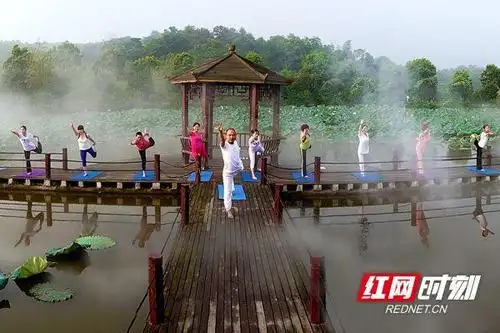 津市报道 "昔日的贫困山村,如今景色这么漂亮,还成了热门的旅游景点