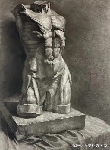 川美造型基础部优秀素描静物,石膏像作品选