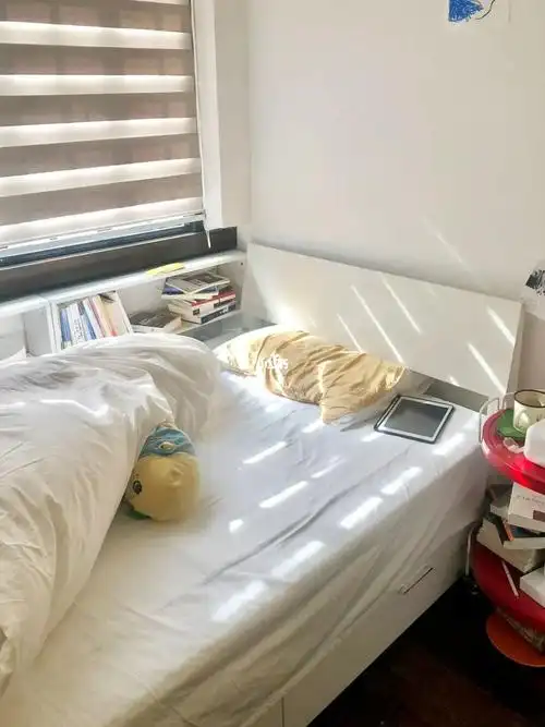 卧室阳光不起床