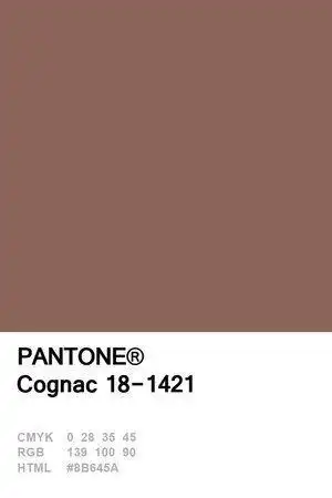 时髦的姑娘早把2020年流行色穿身上啦