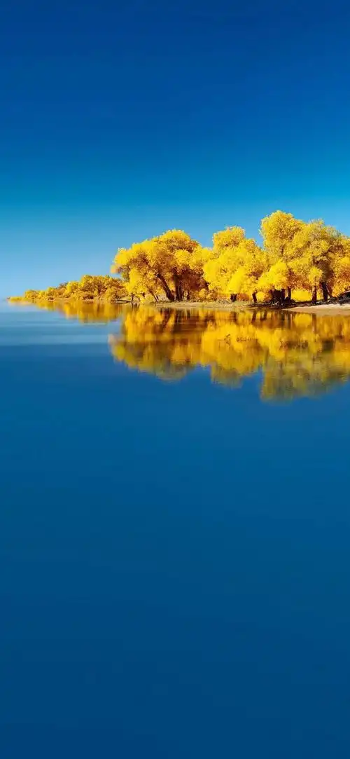 华为mate40系列内置壁纸高清下载