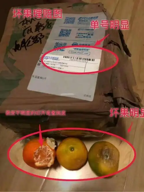 其它 一位母亲与辰颐物语 写美篇关于售后,辰颐物语一直坚持但凡在