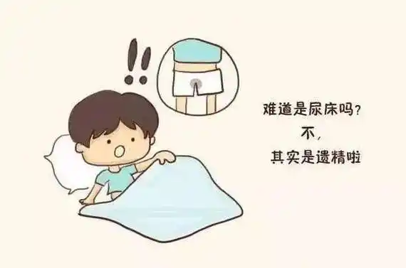 男性课堂丨关于遗精你知道多少