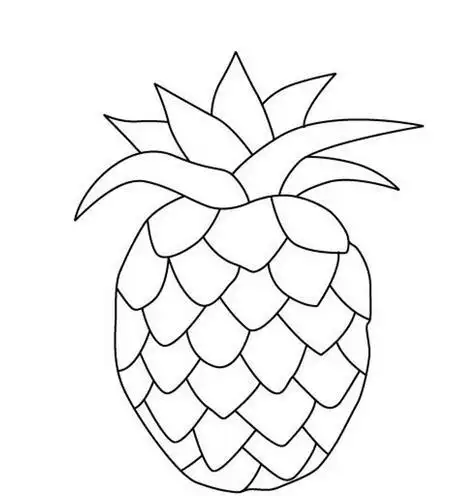 100种植水果简笔画简单