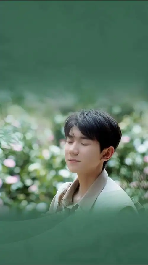 王源溪木源品牌代言人