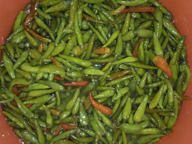 广西富川特产农家自制老坛辣椒酸辣椒糟辣椒泡菜酸菜500g买4包邮