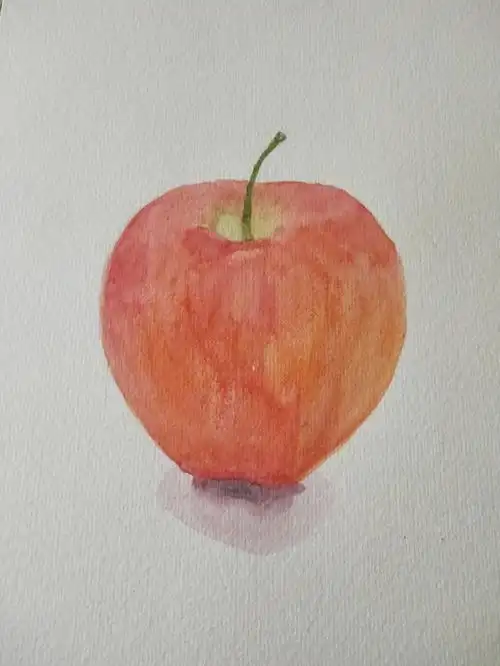 两只水彩苹果