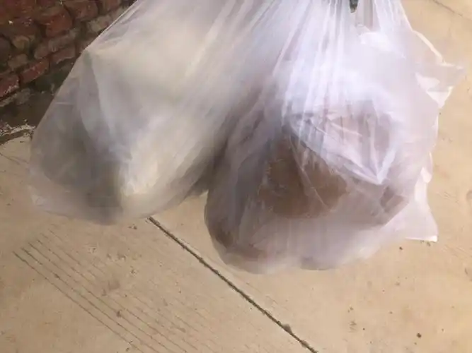 今日份馒头面食店一元一个的馒头买了二十