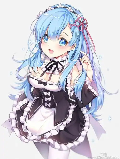 会员re从零开始的异世界生活雷姆蕾姆高清图片cg包4051p