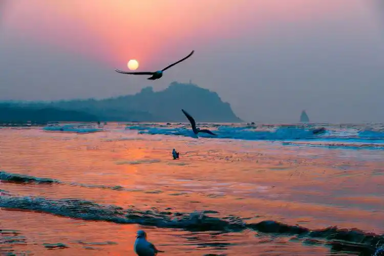 海鸥是力量和美丽的化身,给茫茫大海平添了一派生气.