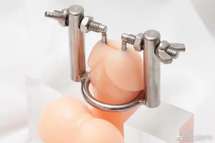 lofter for ipad —— 让兴趣,更有趣