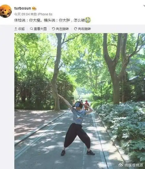 2斤,陈卓璇的身材又道出了娱乐圈的残酷|陈卓璇|体重|身材_新浪新闻