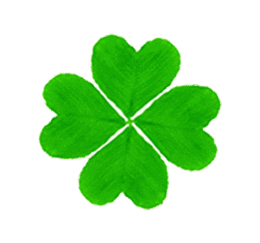 526_492gif 动态图 动图